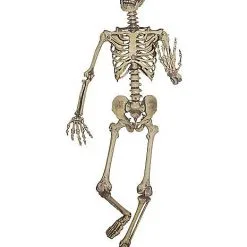 Spirit Halloween 5 Ft Hanging Skeleton Decoration