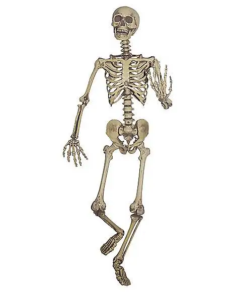Spirit Halloween 5 Ft Hanging Skeleton Decoration