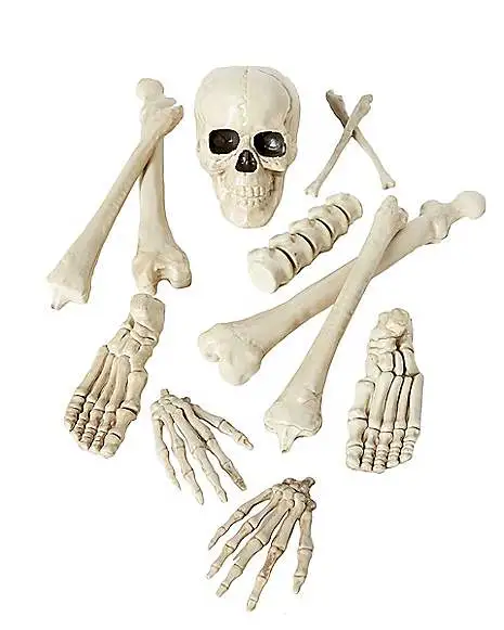 Spirit Halloween Bag Of Bones