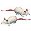Spirit Halloween Squooshey Mouse 8-Pack