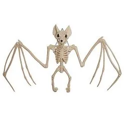 Spirit Halloween 22.5 Inch Bat Skeleton