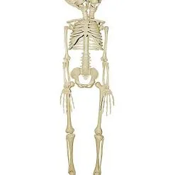 Spirit Halloween 20 Inch Two-Headed Skeleton