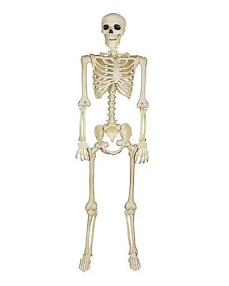 Spirit Halloween 5 Ft Blacklight Skeleton