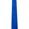 Spirit Halloween Royal Blue Tie