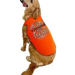 Spirit Halloween Tricks For Treats Pet Costume