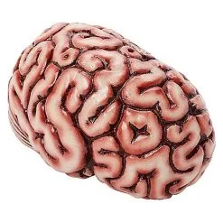 Spirit Halloween Brain Prop