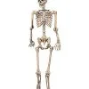 Spirit Halloween 5 Ft Pose 'N' Stay Skeleton