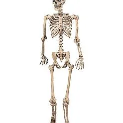 Spirit Halloween 5 Ft Pose 'N' Stay Skeleton