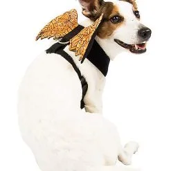 Spirit Halloween Orange Web Wings Pet Harness